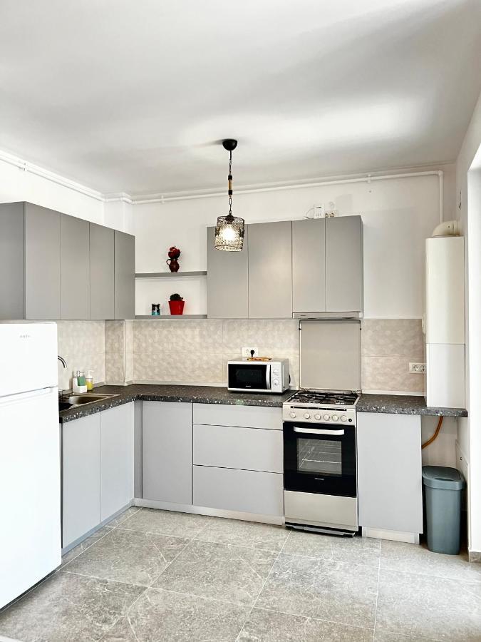 Apartment Mara 2 Timisoara Esterno foto